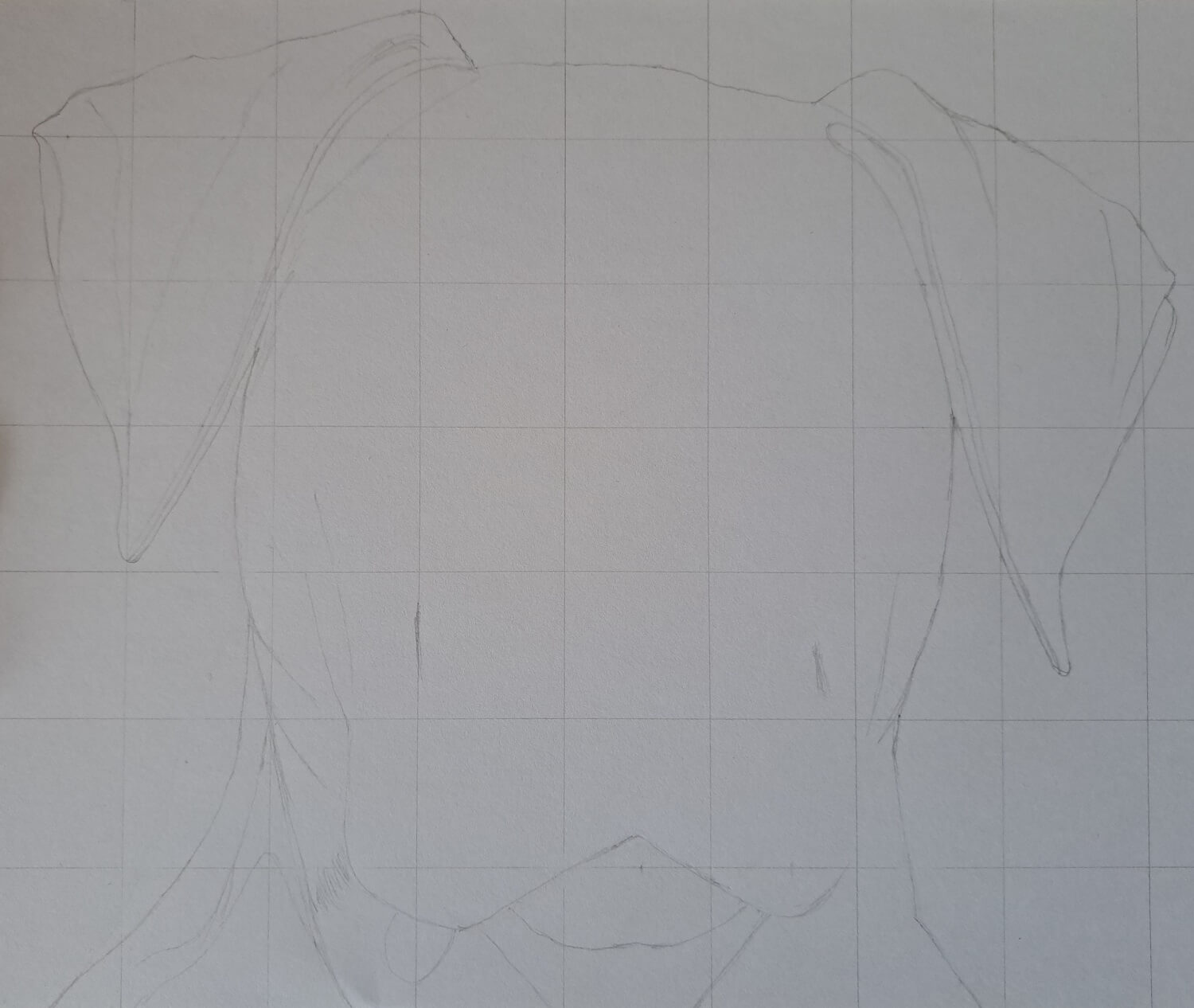 how-to-draw-a-dog-head-realistic-front-view-muus-art
