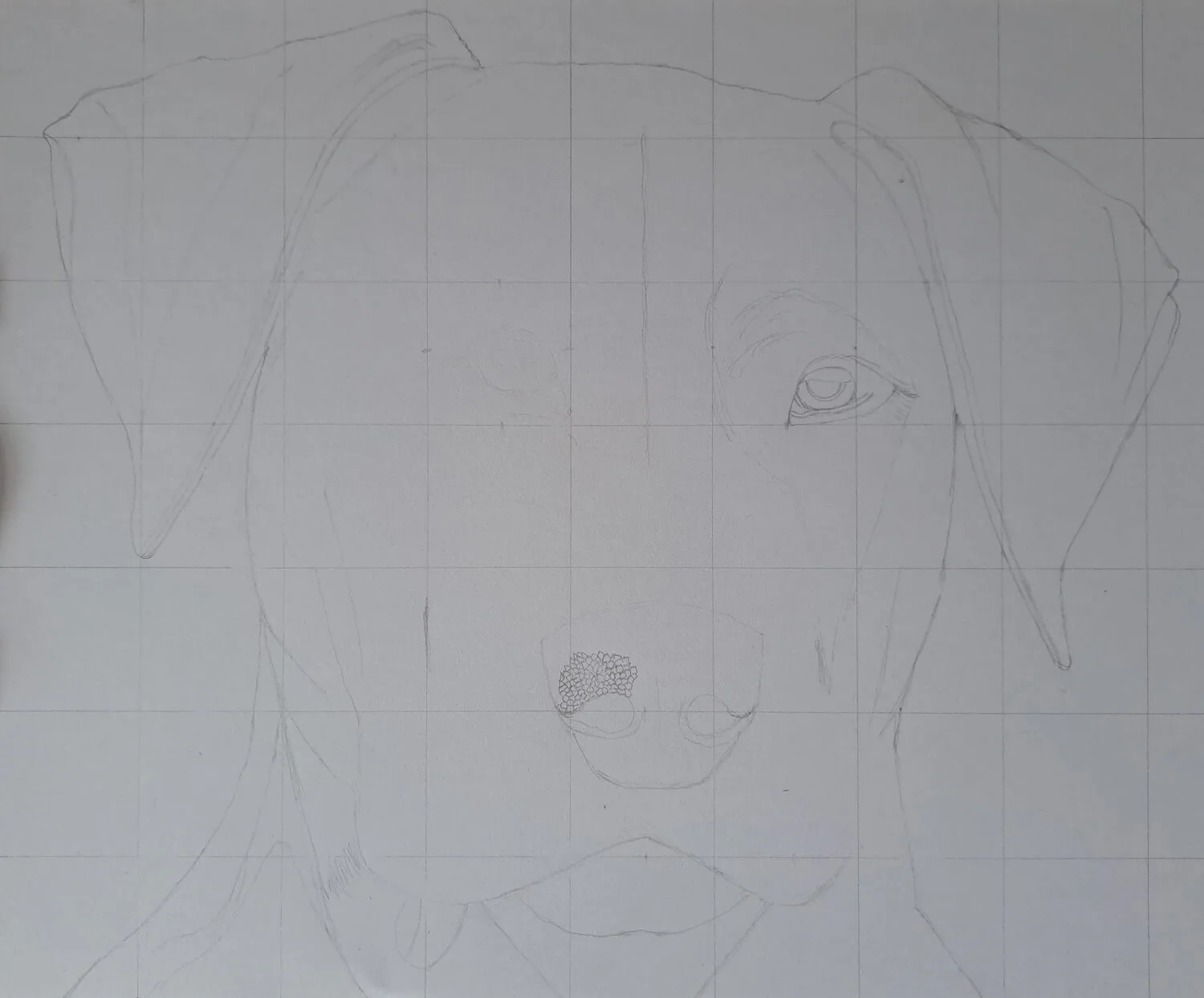 A Weimaraner Dog Sketch - Printable Shading Worksheet - Image 2