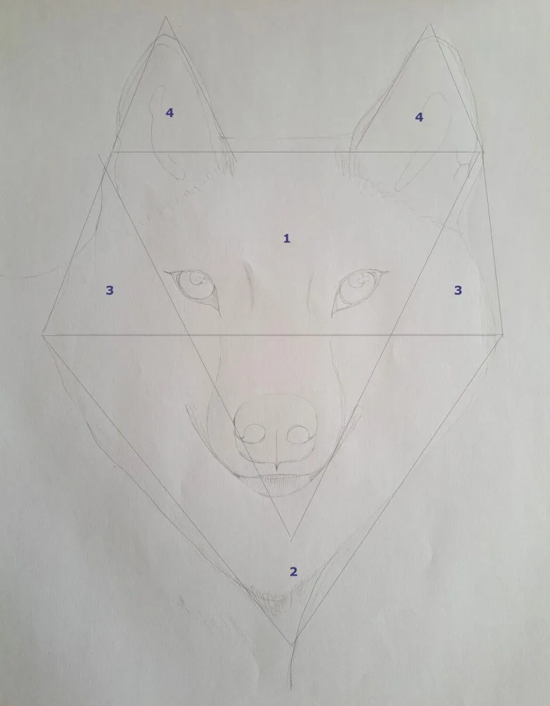 Drawing a wolf - Shapes