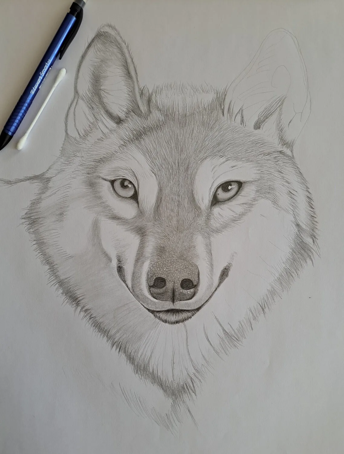 Printable Wolf Drawing Sketch - Image 4