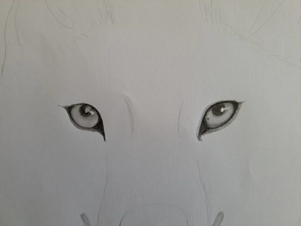 Sketching-the-wolf-eyes
