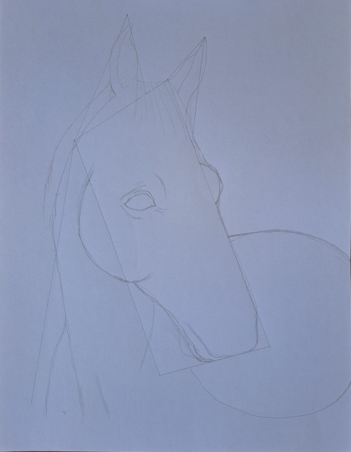 Realistic Horse Drawing: How to Draw a Horse for Beginners Muus Art
