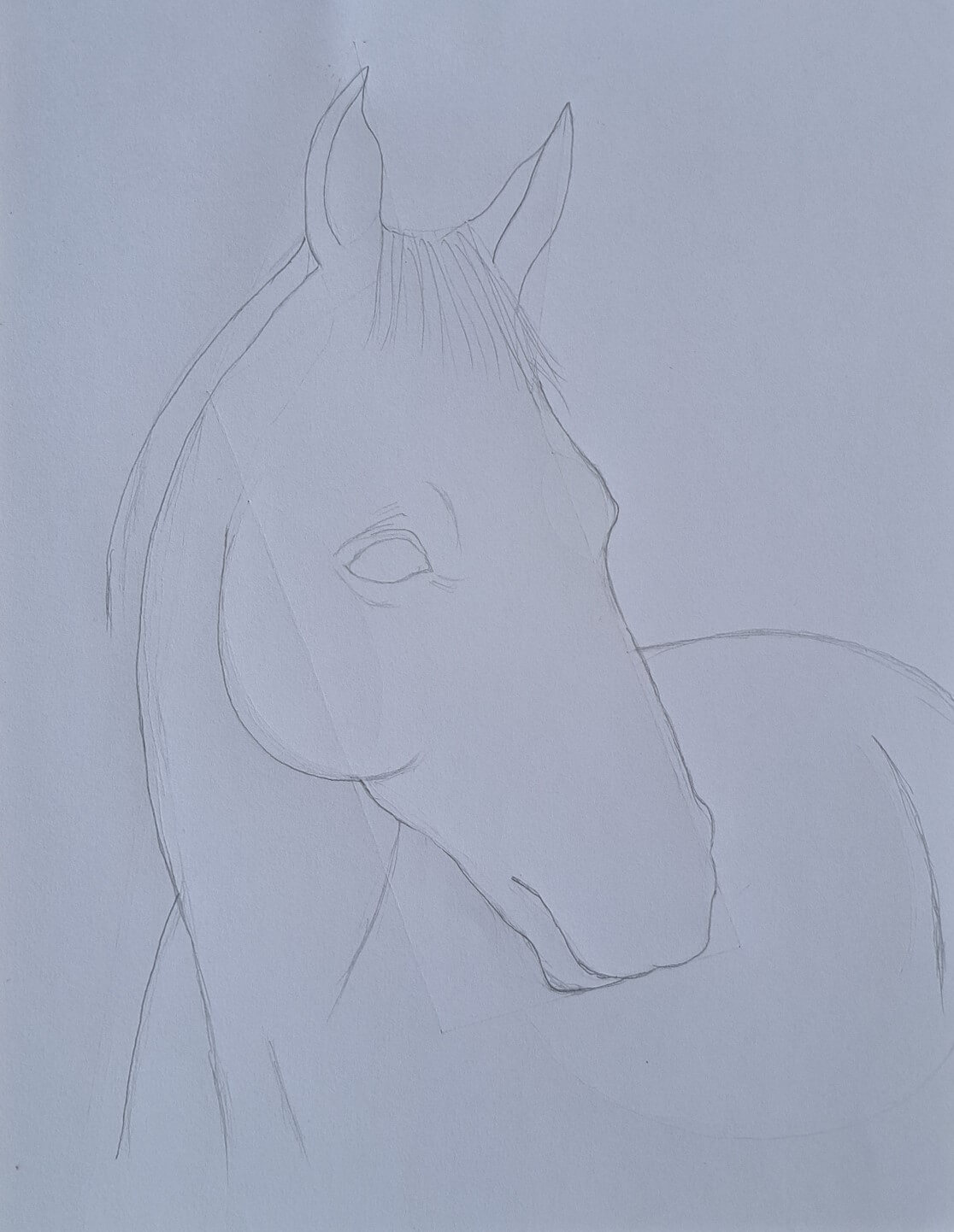 Realistic Horse Drawing: How to Draw a Horse for Beginners Muus Art