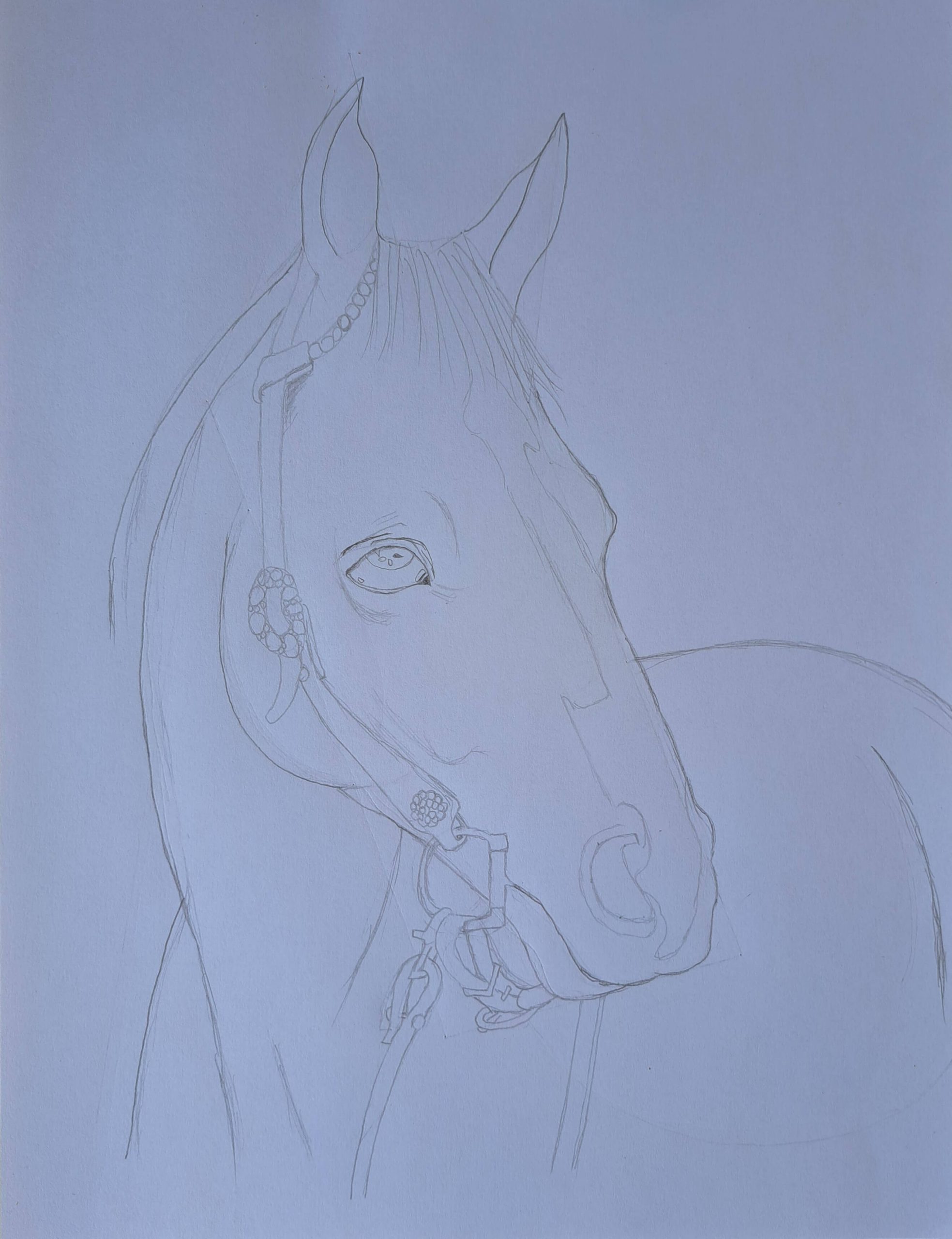 Realistic Horse Drawing: How to Draw a Horse for Beginners Muus Art