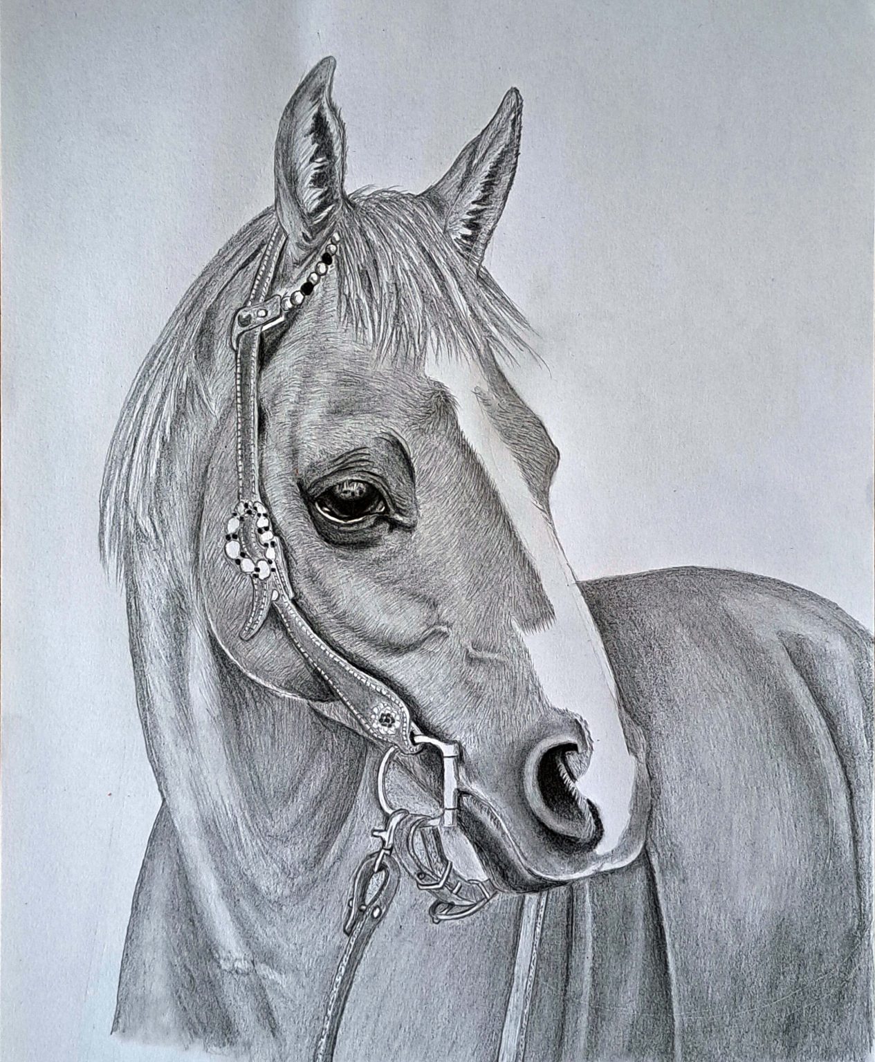 Realistic Horse Drawing: How to Draw a Horse for Beginners Muus Art