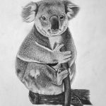 Drawing a Realistic Koala with Pencil Featured