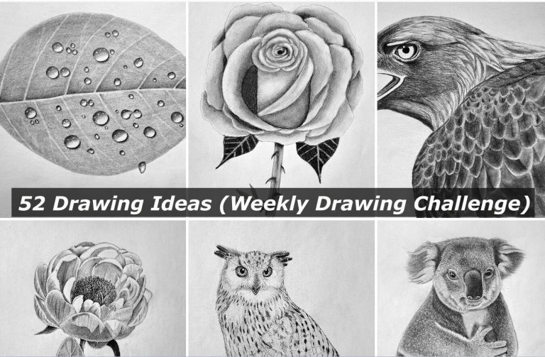 52 Drawing Ideas (Draw Every Week for a Year Challenge) | Muus Art