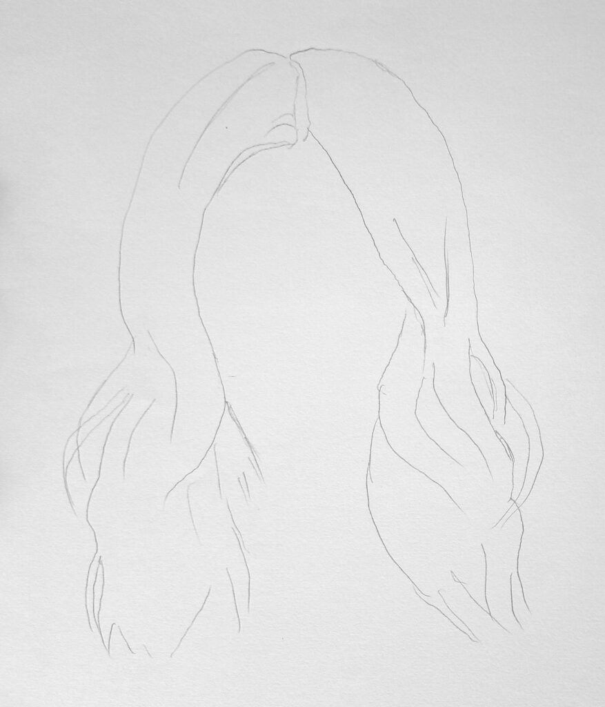 Start with a Light Sketch
