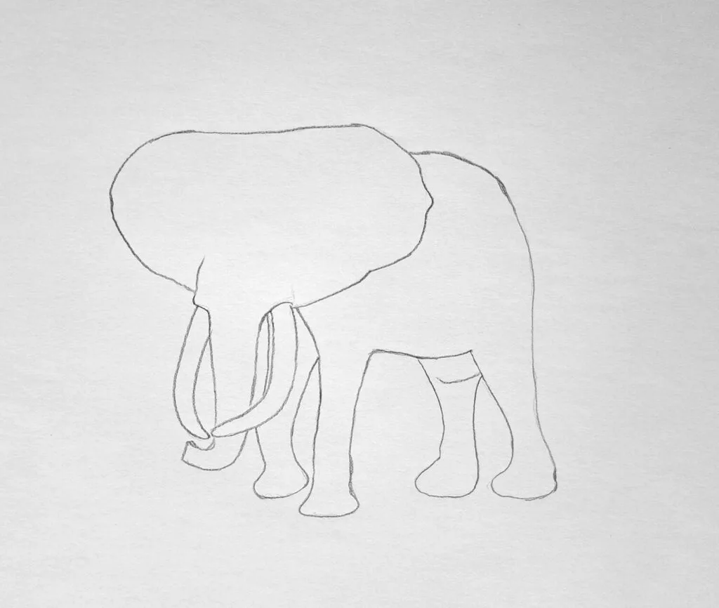 1. Sketch the outline of the main elephant features
