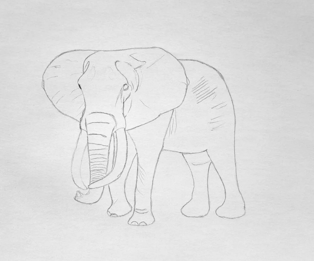 2. Complete the elephant sketch