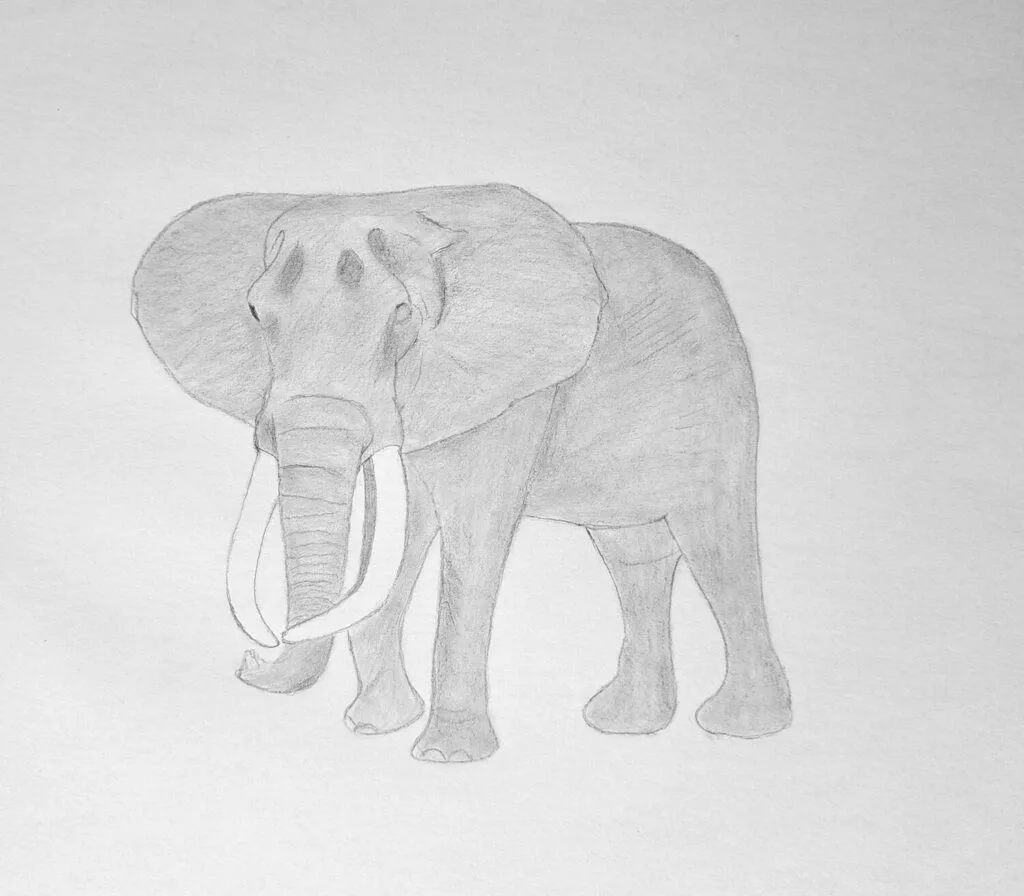 3. Basic shading using an HB pencil