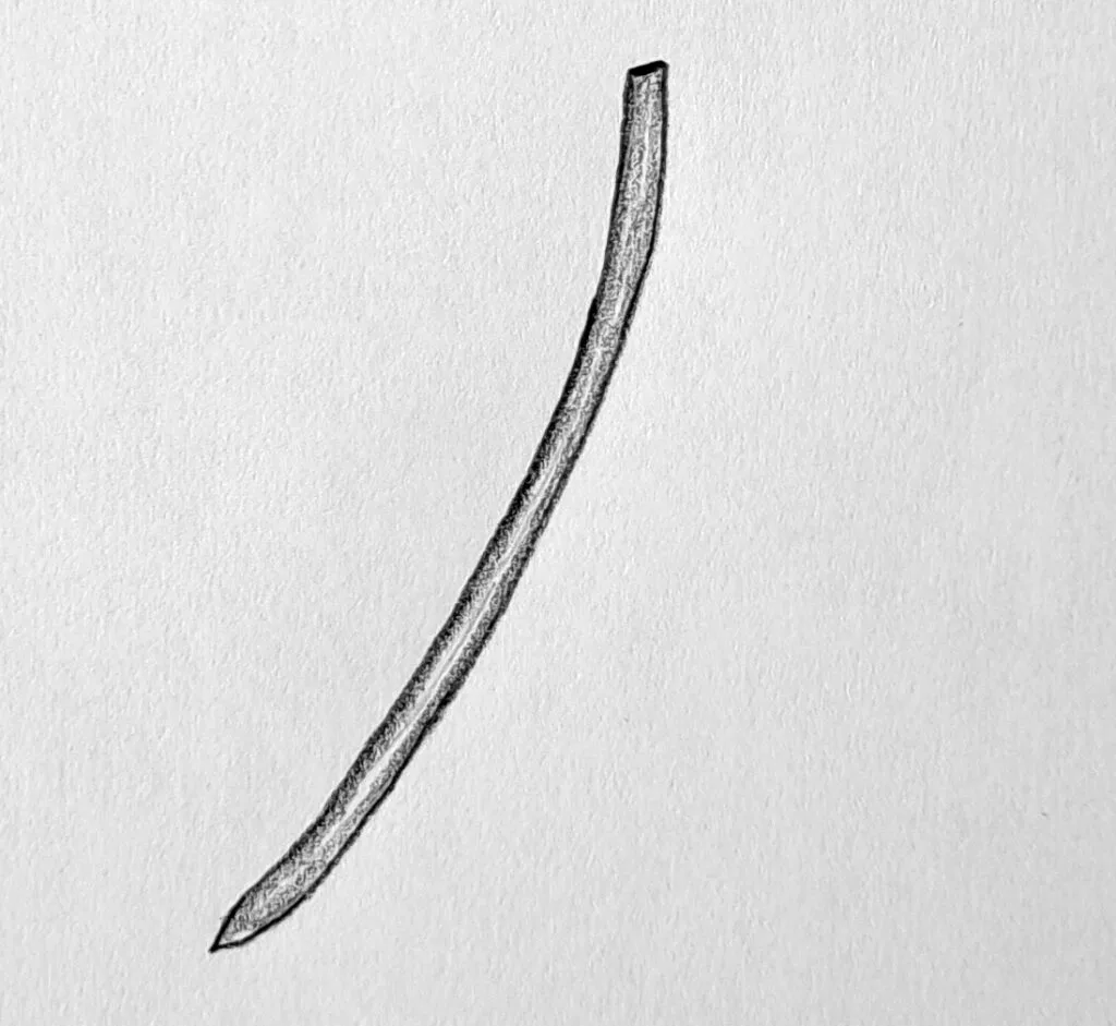 4. Drawing the Flower Stalk