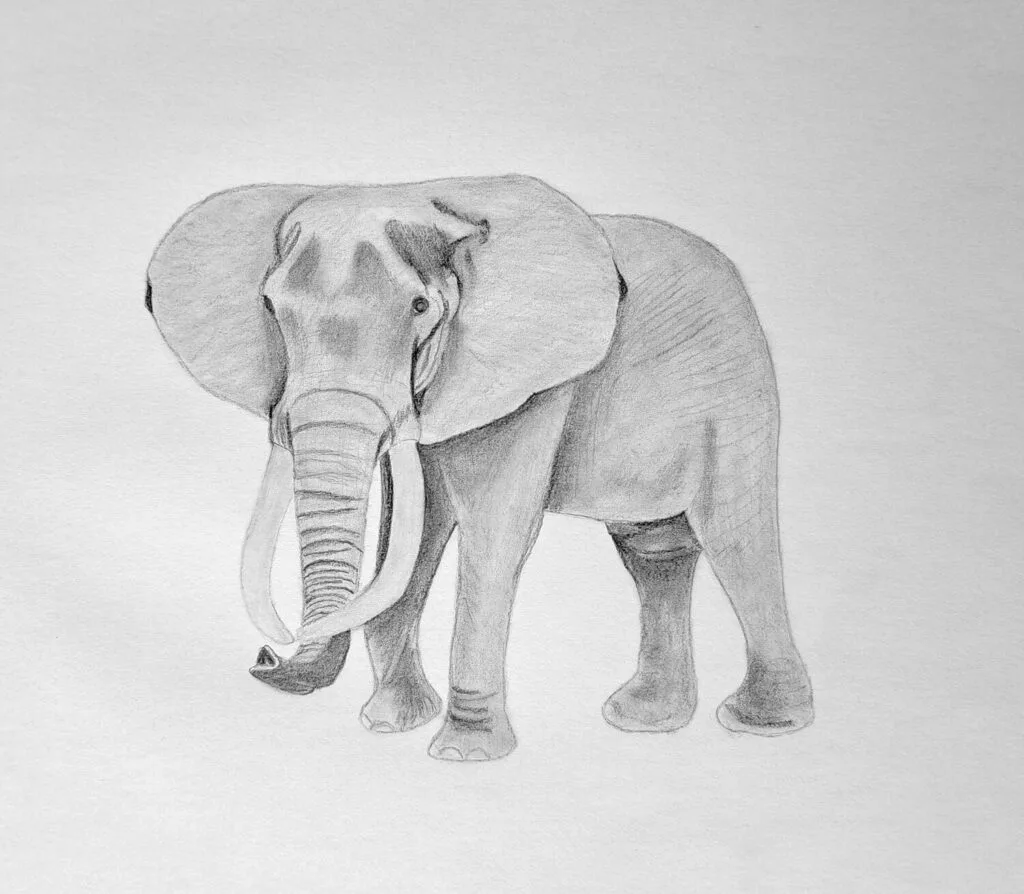 4. Shading the shadows