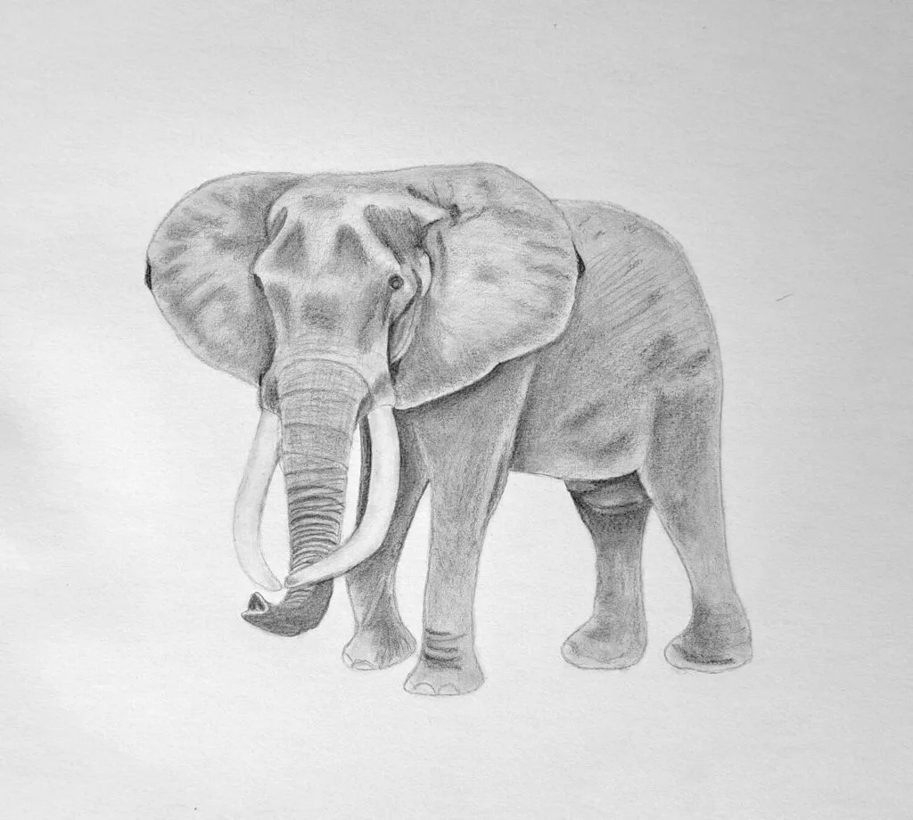 5. Shading the midtones