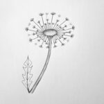 How to draw a dandelion - The final doodle Featured