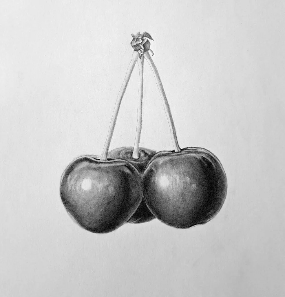 Drawing Realistic Cherries - How to Draw Cherries Featured