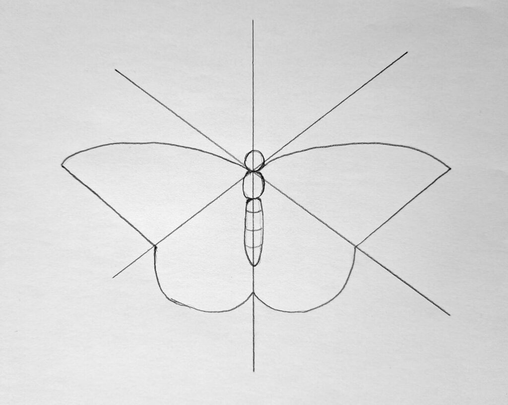 3. Drawing the butterfly wings