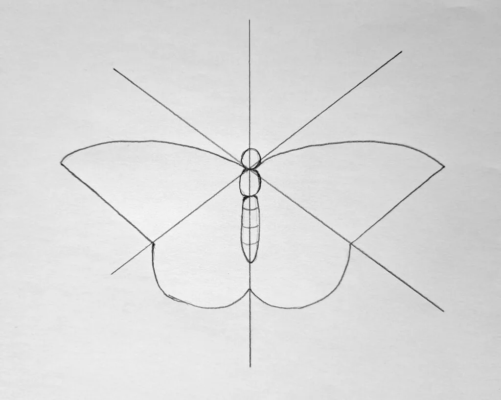 3. Drawing the butterfly wings