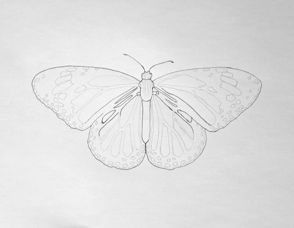 4. Completing the sketch