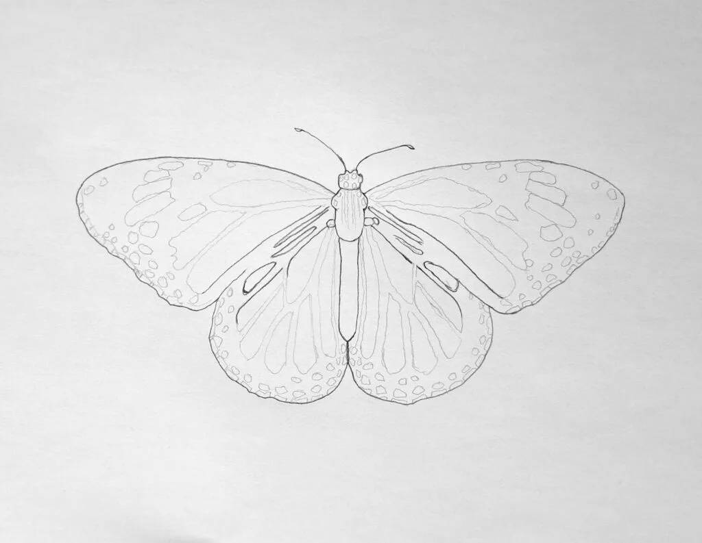 4. Completing the sketch