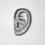 Steps to Draw an Ear from the Side Featured