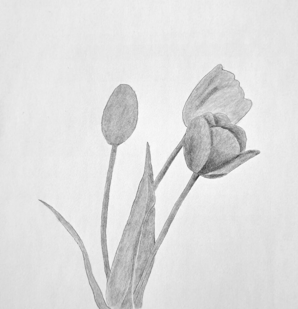 2. Shading the first layer