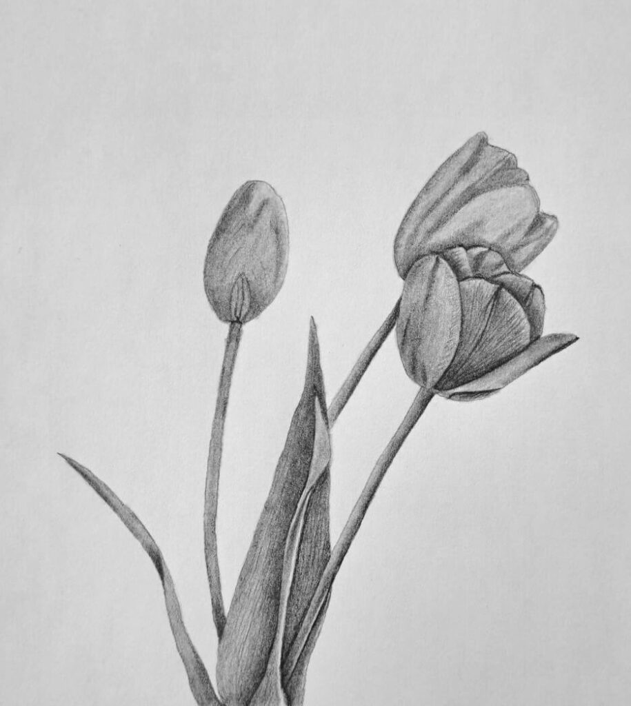 3. Shading the shadows