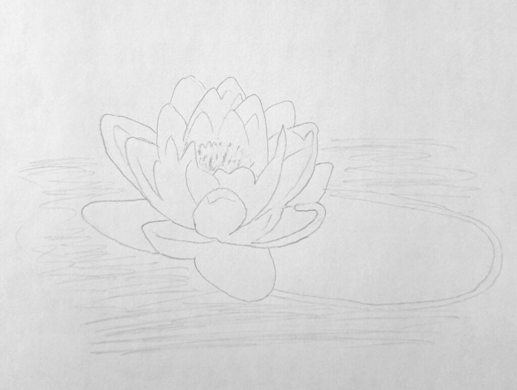 1. How to Sketch the Lotus Flower