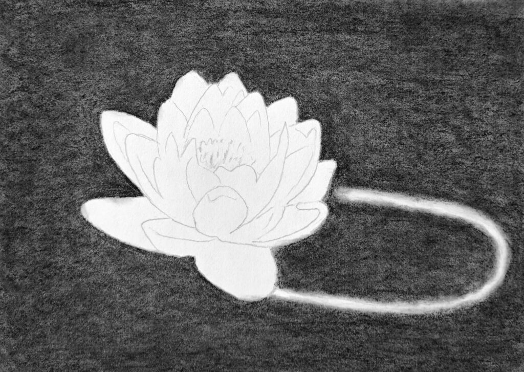 2. Shading the Negative Space