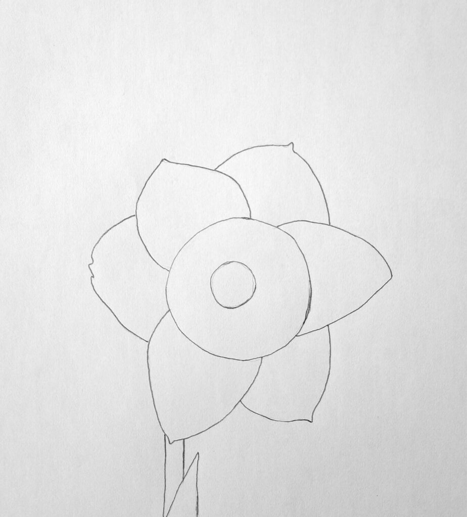 1. Basic Sketch of a Daffodil