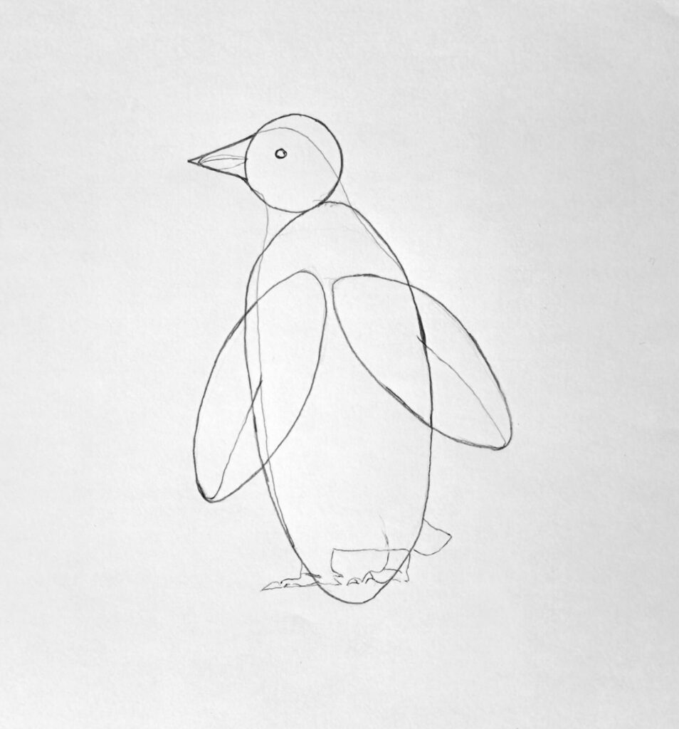 2. Outline the shape of the penguin