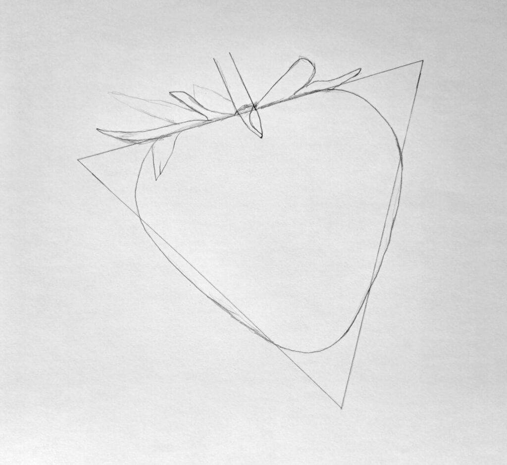 2. Sketch the shape of the strawberry