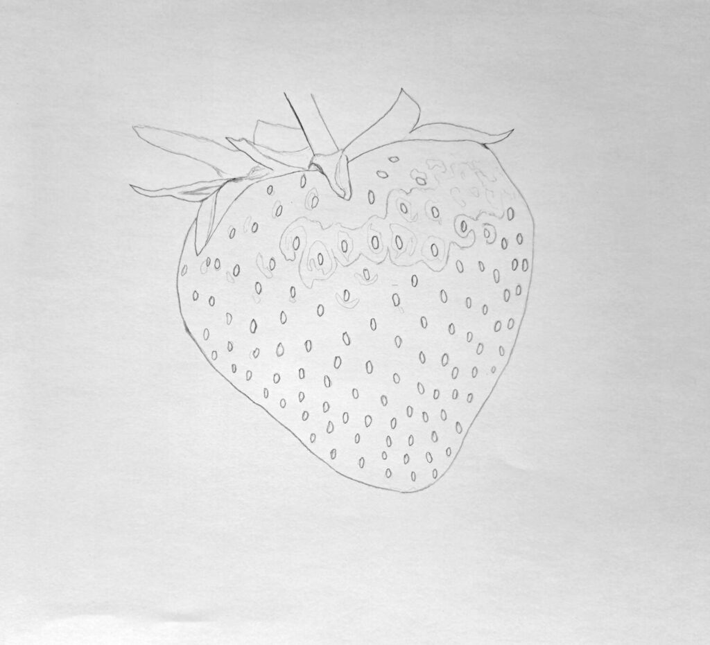 3. Complete the sketch plus details