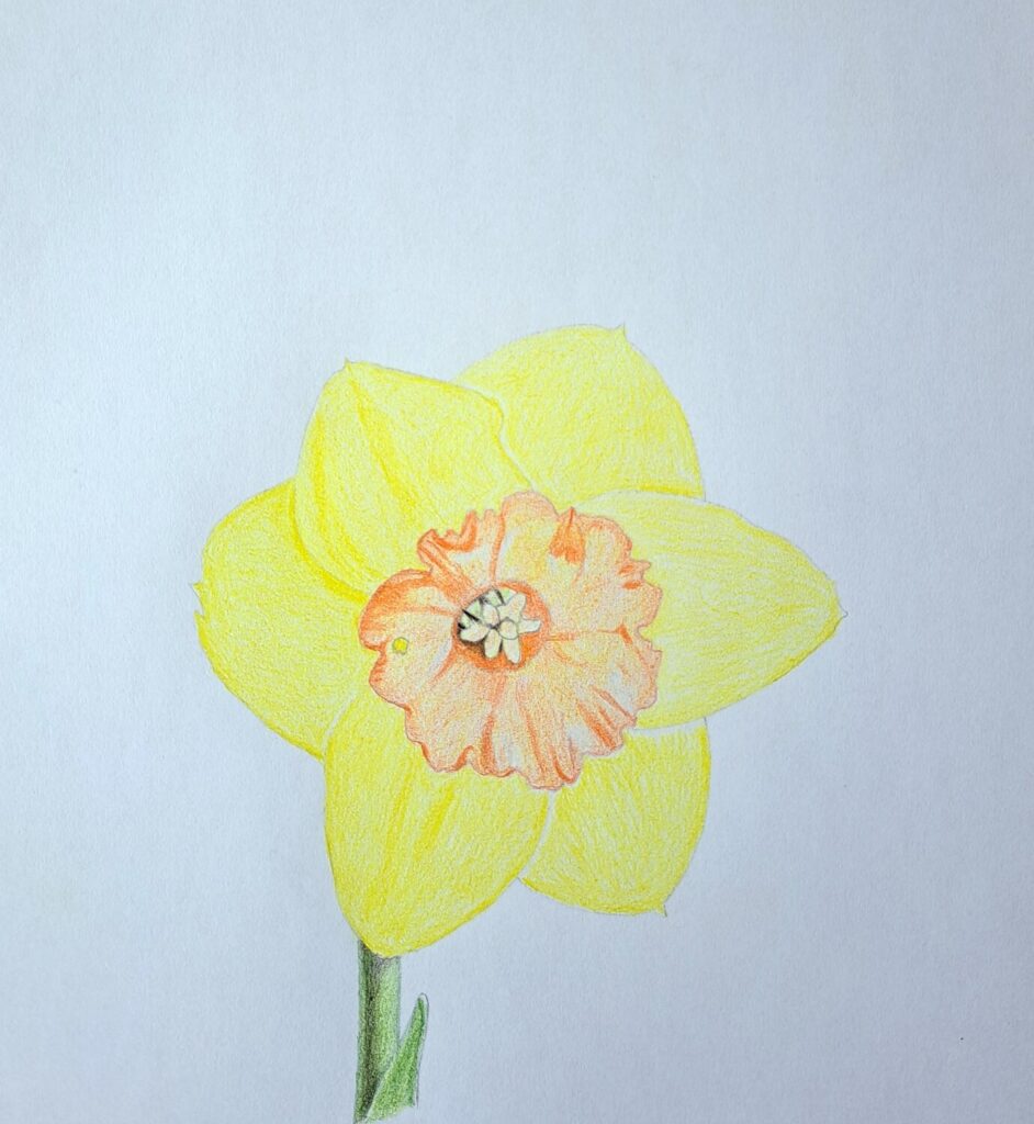 4. Deep Shade Coloring