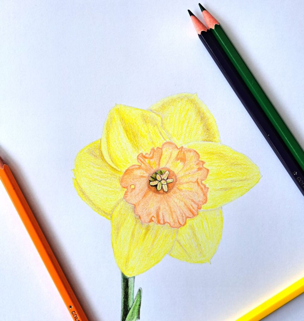 5. Complete Detailed Coloring