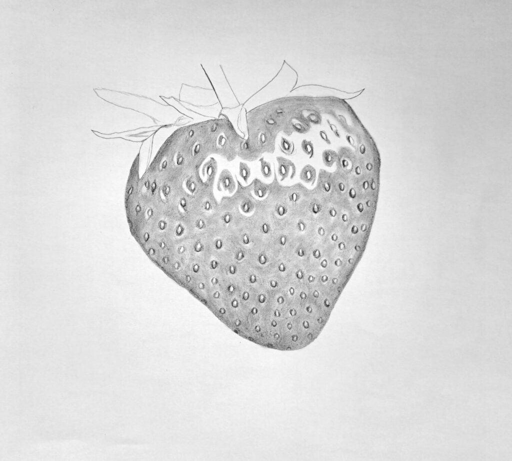 5. Shading the seeds and around