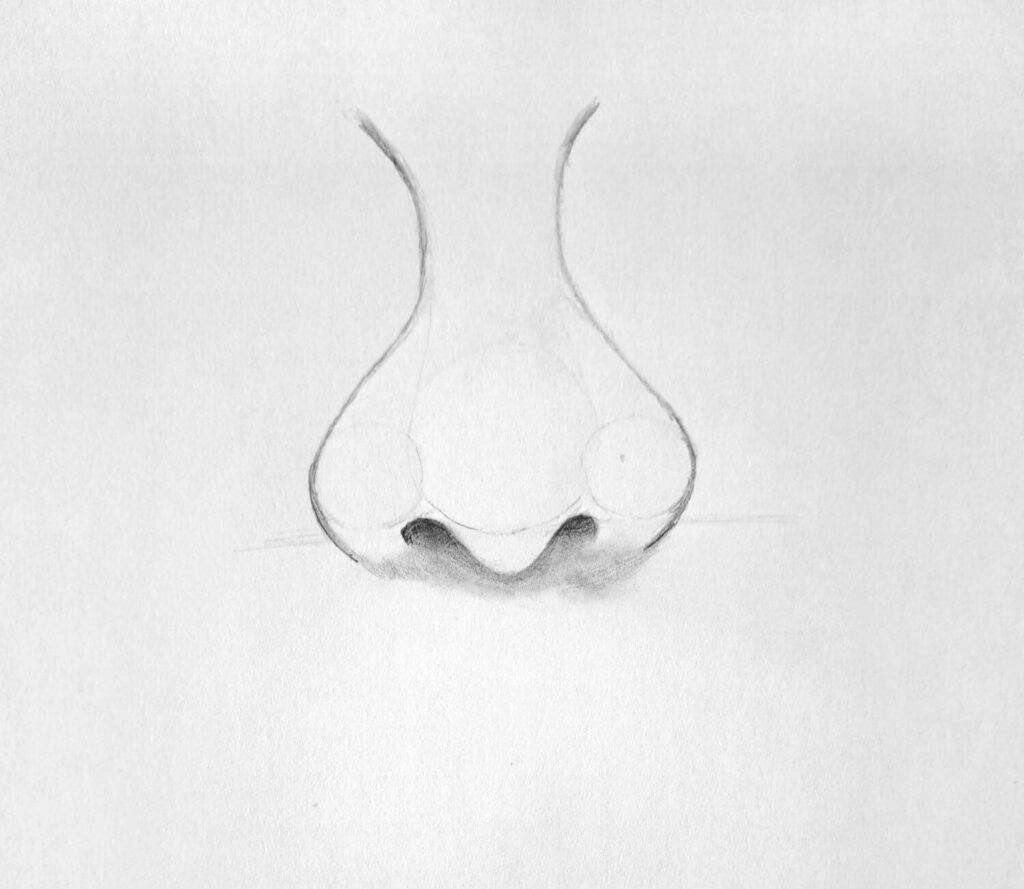 3. Complete nose sketch with nostrils