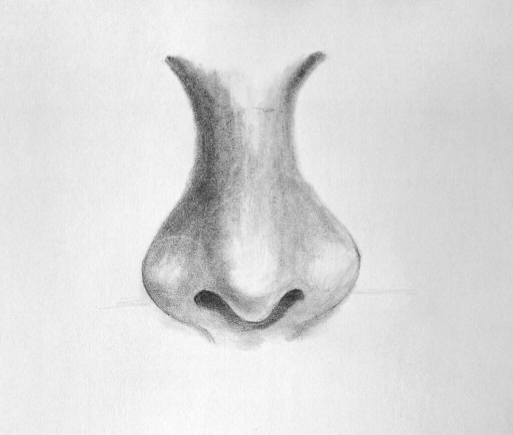 5. Shadow and Dark Values