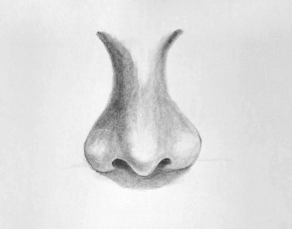 How to draw a nose featured