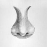 How to draw a nose featured