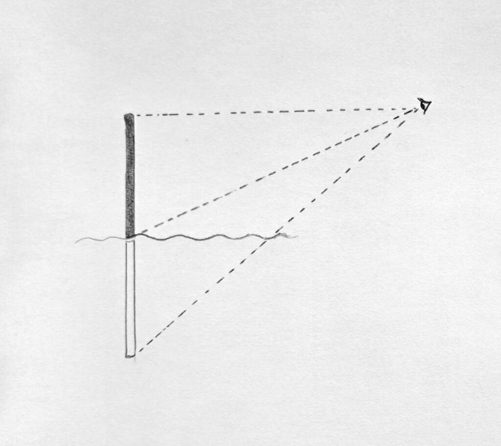 2. Reflection of a straight object should be as long as the object