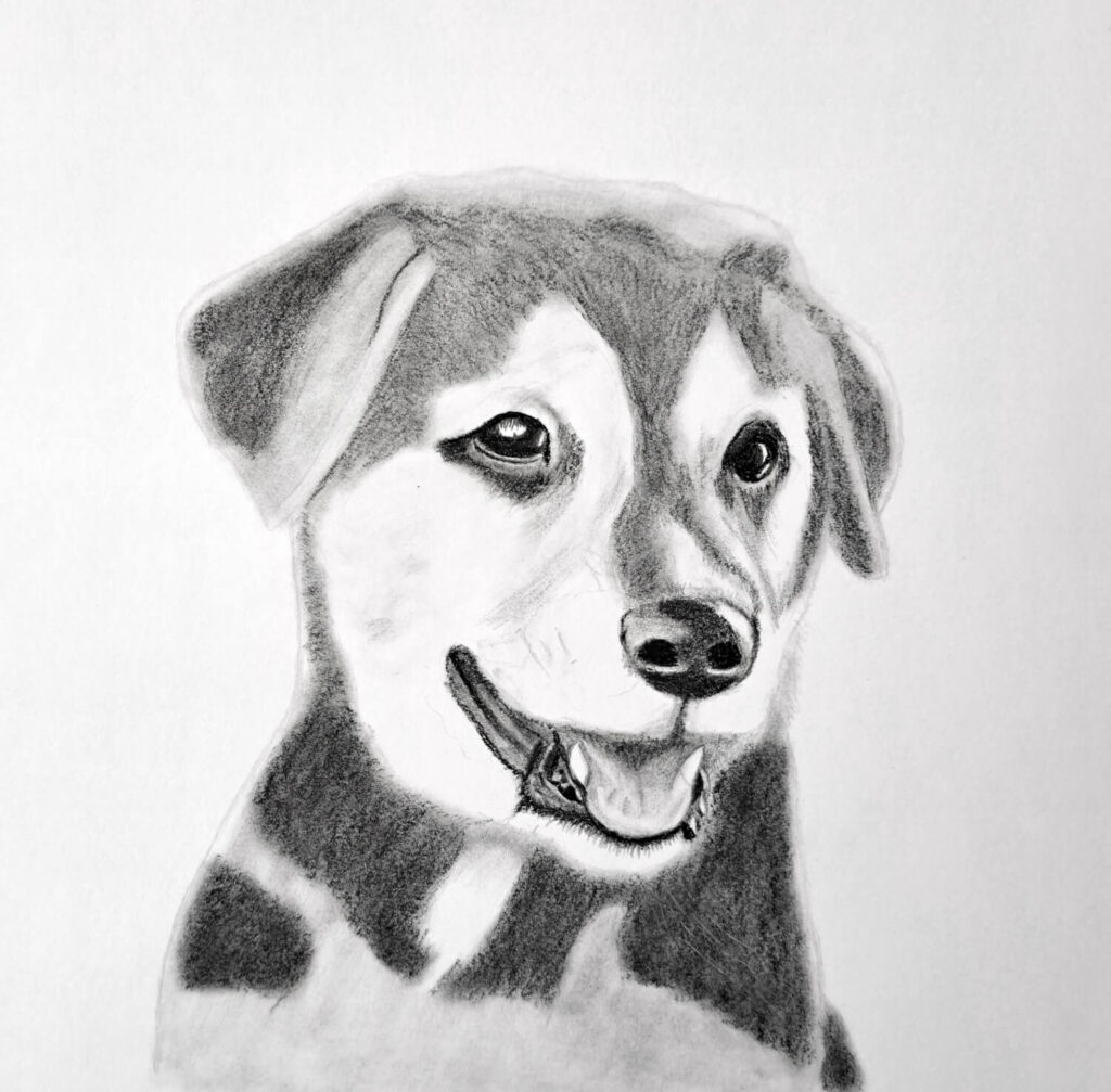 5. Shading Dark Values - Face & Body