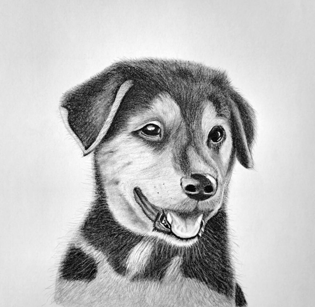 7. Deepening the texture of the fur