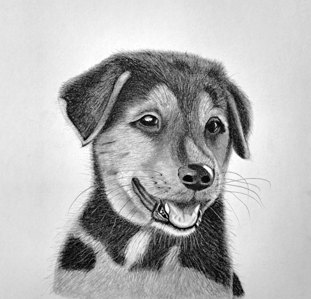 8. Completing the puppy's drawing