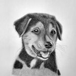 How to Draw a Puppy Featured