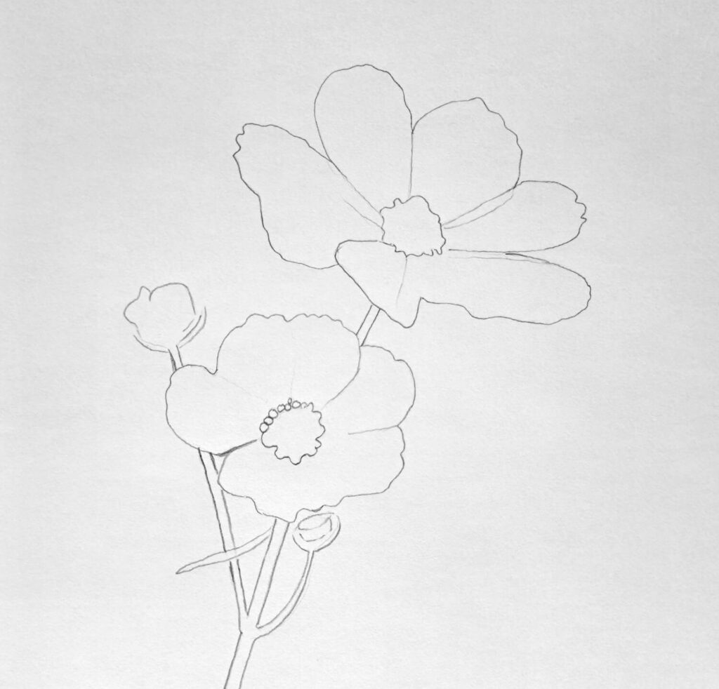1. Line Sketching with Graphite Pencil