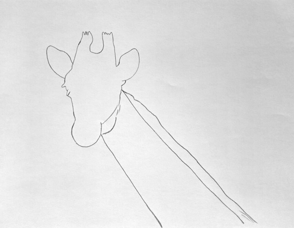 1. Outlining the Giraffe