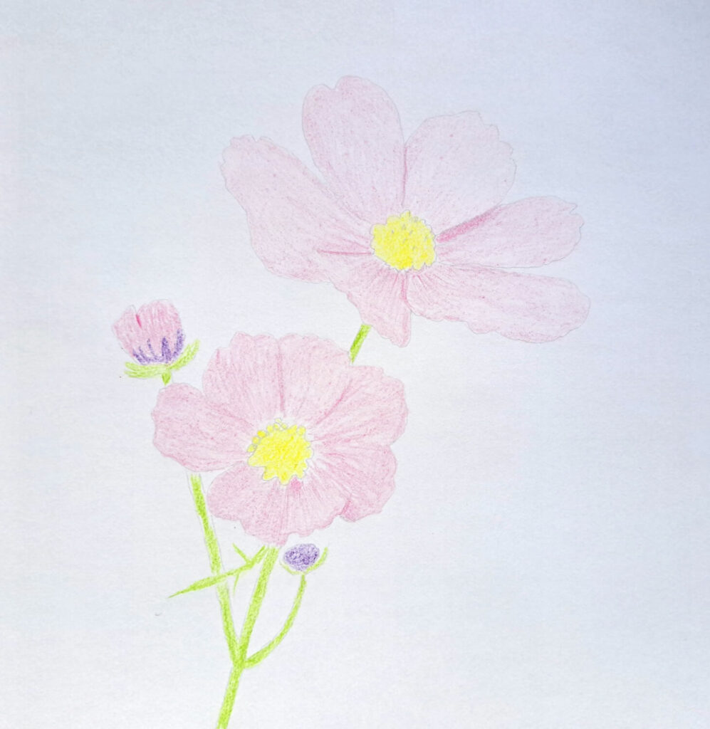 2. Basic Coloring