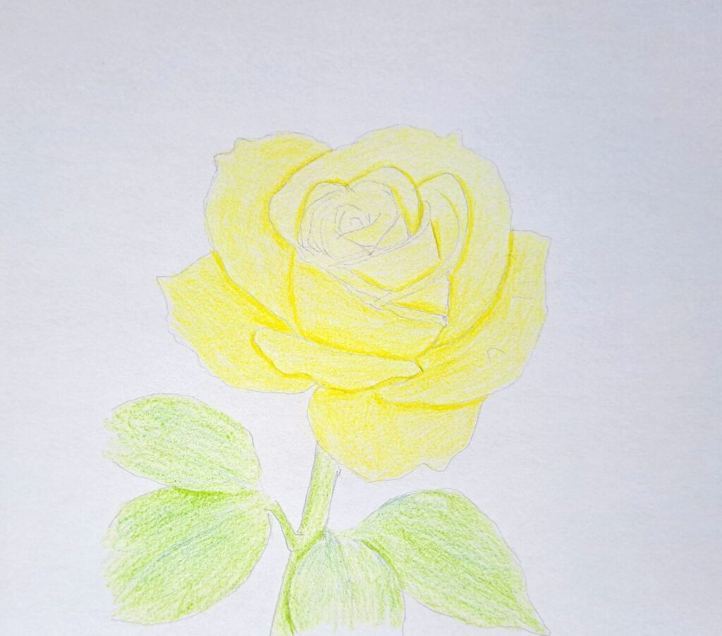 2. Coloring the First Layer