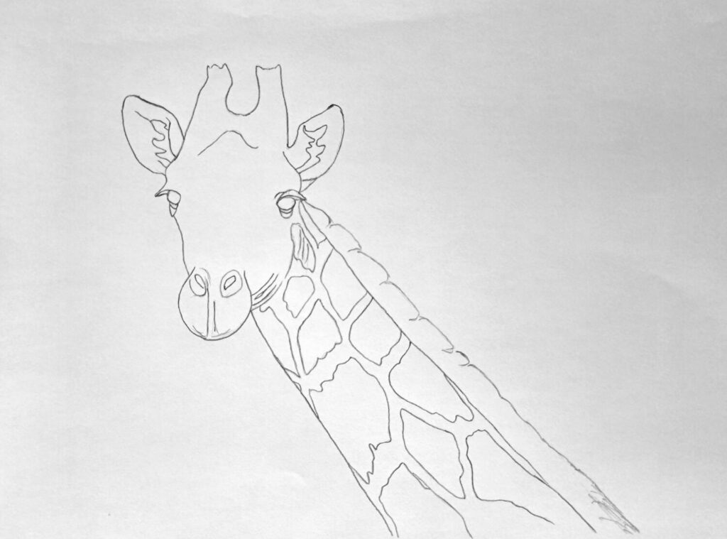 2. Completing the Line Sketch